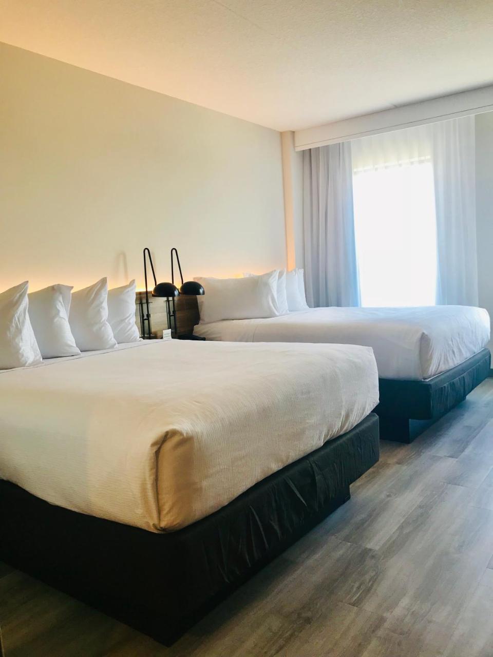 Hotel Wyndham Garden Ft Lauderdale Airport&Cruise Port Dania Beach Exterior foto